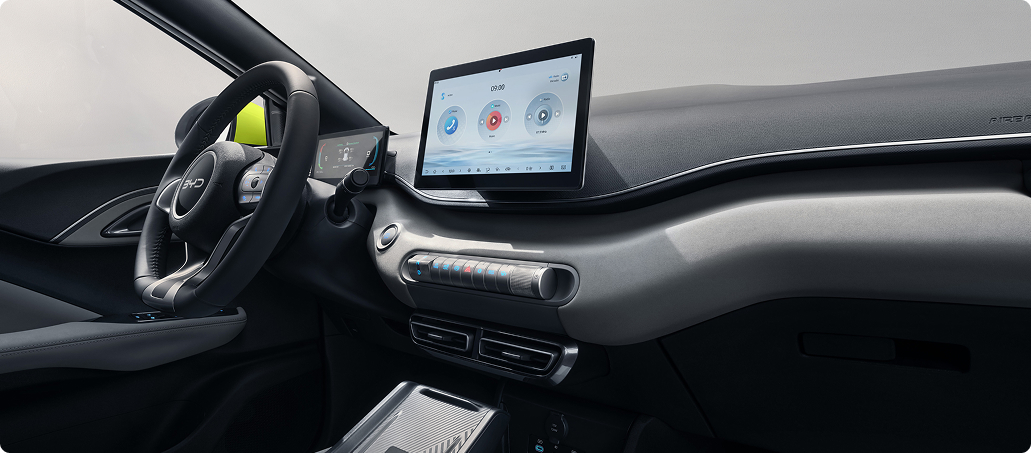 dolphin-surf-interior-ekran